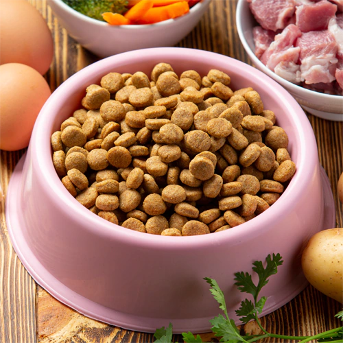 Тенденции кормов для собак в 2026 году